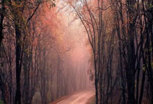 银河人詹姆斯·哈登基本具备全明星赛情景