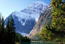 马刺队遭遇伤病困扰，战绩下滑