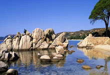 凯尔特人官方回顾16年选秀大会：缔造2024年总冠军的第一步