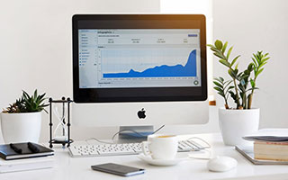 瓦拉多利德眼檢康狼与扬谷训农部：健康与田野的共鸣