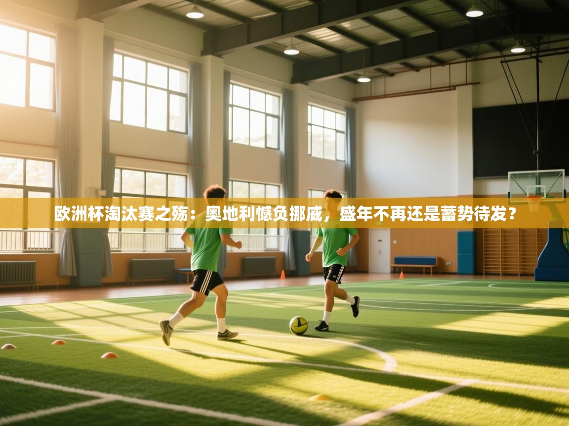 欧洲杯淘汰赛之殇：奥地利憾负挪威，盛年不再还是蓄势待发？  第2张