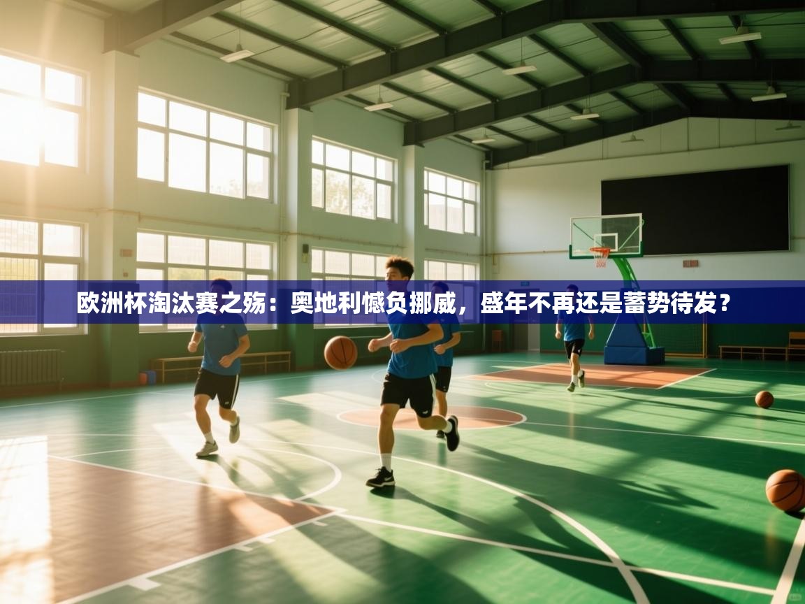 欧洲杯淘汰赛之殇：奥地利憾负挪威，盛年不再还是蓄势待发？  第1张