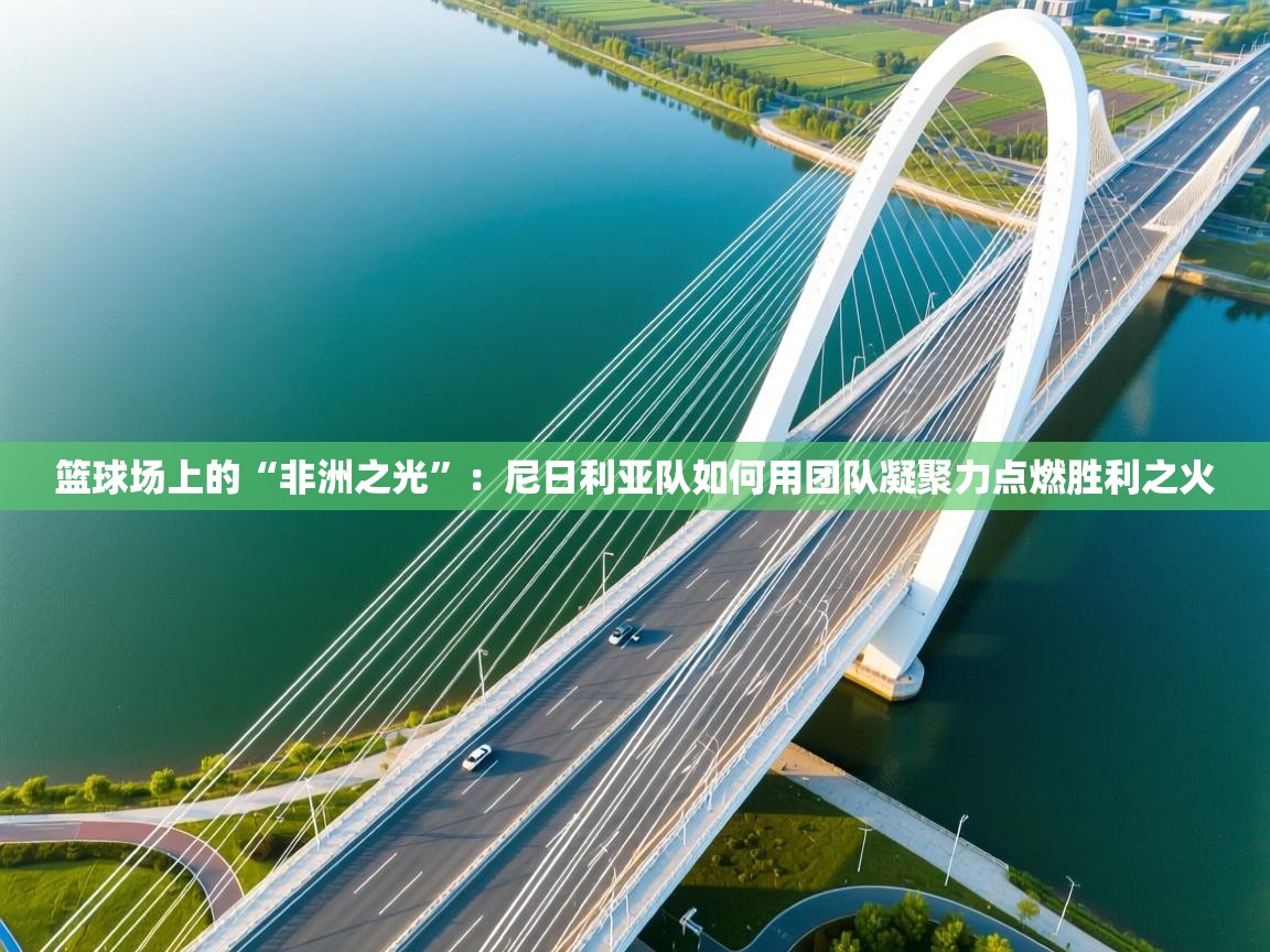 篮球场上的“非洲之光”：尼日利亚队如何用团队凝聚力点燃胜利之火  第2张