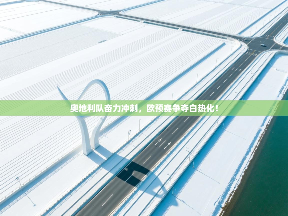 奥地利队奋力冲刺，欧预赛争夺白热化！  第2张